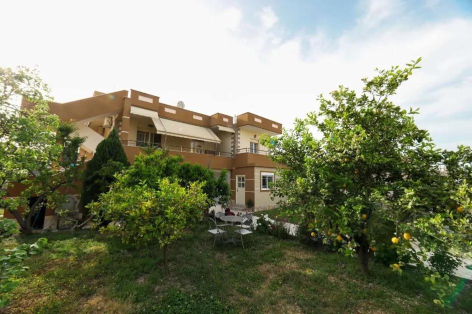 Vila Agolli Vlorë 외부 사진