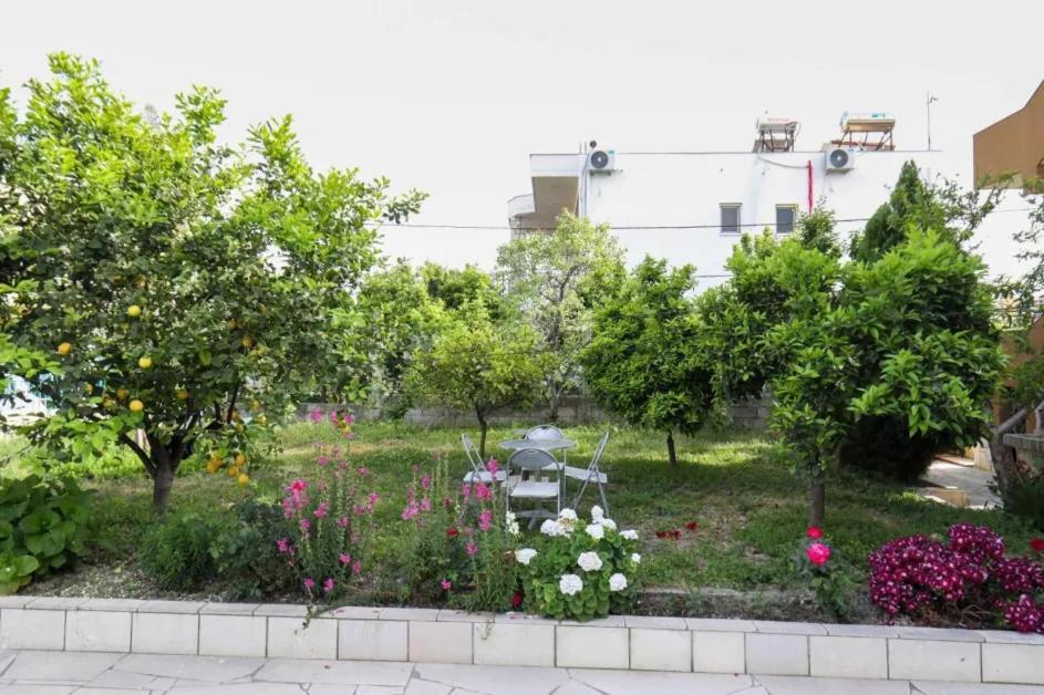Vila Agolli Vlorë 외부 사진