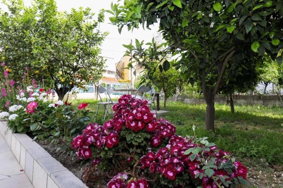 Vila Agolli Vlorë 외부 사진